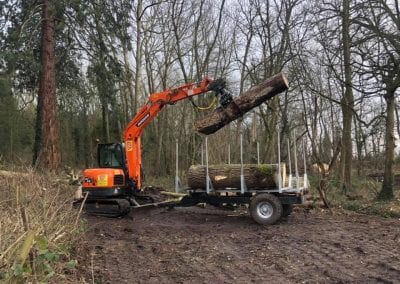 William Bird Tree Services - Loading Logs