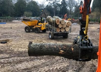 William Bird Tree Services - Loading Logs