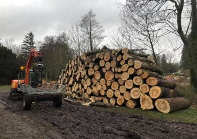 William Bird Tree Services - Nice pile of tree cuts