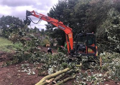 William Bird Tree Services - Clearing up Trees