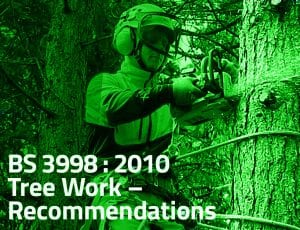 William Bird Tree Services - BS3998:2010 Link